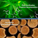 Solar Car Fragrance — Rotating Aroma Diffuser, Alcohol-Free & Long-Lasting | Dar Luxe