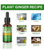 Rosemary Hair Growth Essential Oil — 100% Pure, Strengthens & Thickens Hair